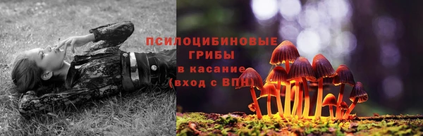 первитин Белокуриха