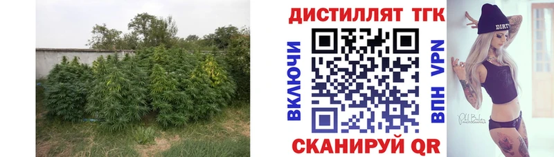 купить наркотики сайты  Семикаракорск  ТГК Wax 