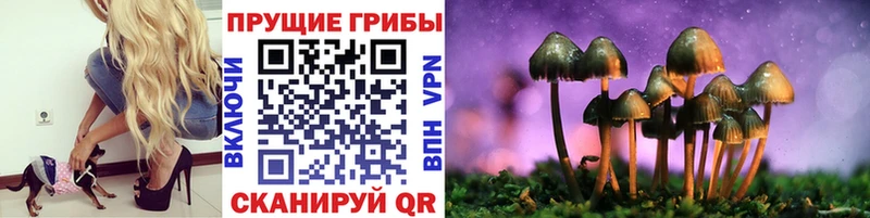 Псилоцибиновые грибы Cubensis  Семикаракорск 
