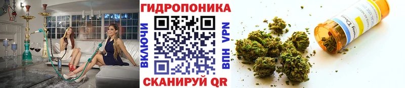 МАРИХУАНА планчик купить наркотики цена Семикаракорск